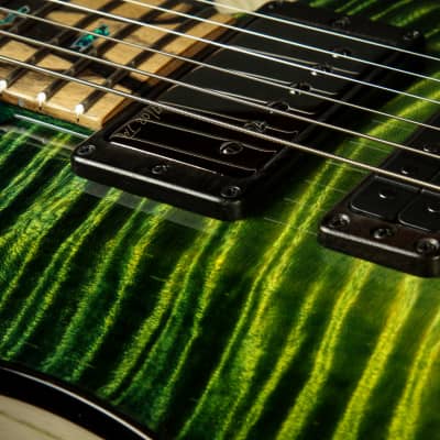 PRS Private Stock #9846 Special Semi-Hollow F-Hole Swamp Ash PRS Private Stock #9846 Special Semi-Hollow F-Hole Swamp Ash