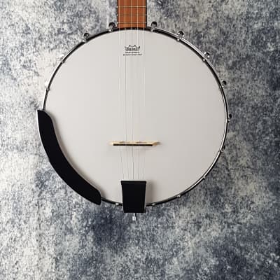 Epiphone MB-100 5-String Open-Back Banjo - Re-Sale (Great Condition) image 1