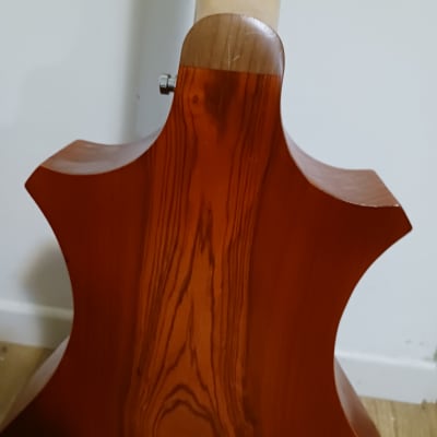 Philippe Berne 'Aperggione' 6 string guitarviol/cello 2011 - rosewood, spruce, maple image 11