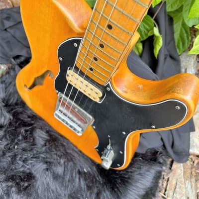 Mike Bloomfield's 1968/69 Fender Telecaster Thinline with Docs image 10