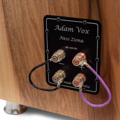 Adam Vox Ness Ziona 3-way floorstand loudspeakers (1 pair) image 2