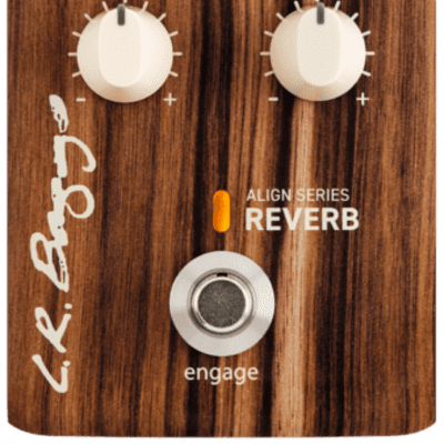 ギター lr baggs ALIGN SERIES REVERB Quick Hit: L.R. Baggs Align Series Reverb Review - Premier