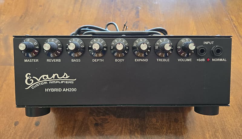 Evans Custom Amplifiers Hybrid AH200 Guitar Amp Head image 1