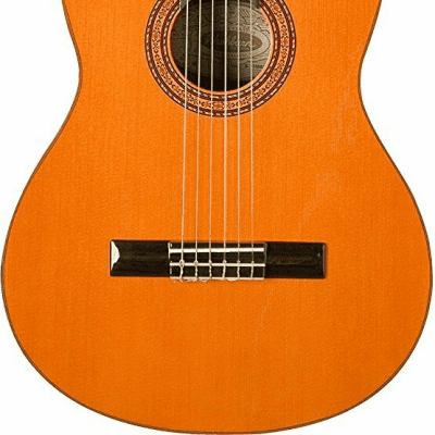 Washburn Classical Acoustic Guitar - Natural - C5 for sale