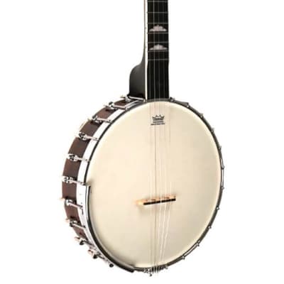 Gold Tone Model WL-250 White Ladye 5-String Open Back Banjo with Hardshell Case image 1
