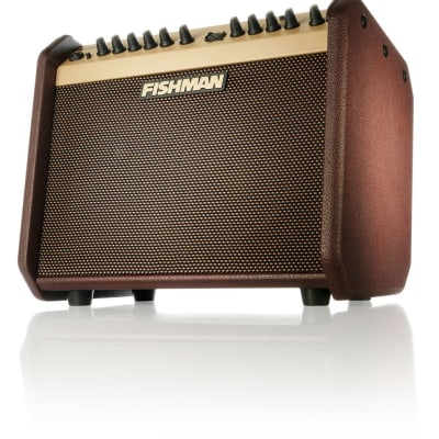 Fishman Loudbox Mini BT Acoustic Guitar Amplifier for sale