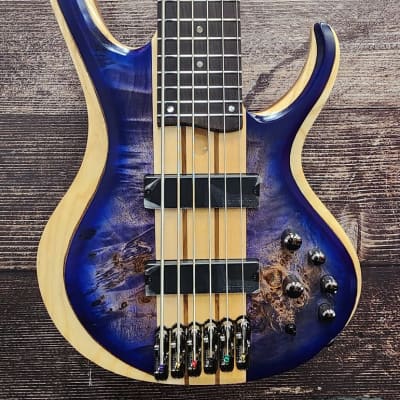 Ibanez Premium SDGR VNF 6 String Bass Guitar | Reverb