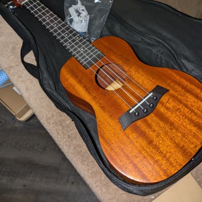 Mint 2022 Vizcaya Concert Ukulele w New Gig Bag and Reverb