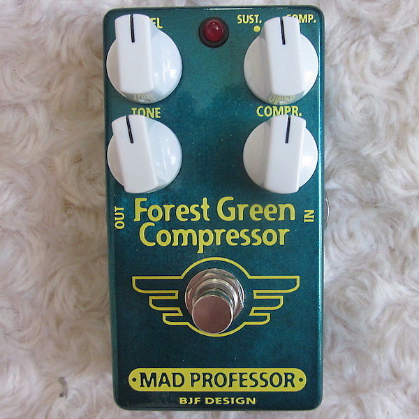 低価高評価【美品】Forest Green Compressor ギター