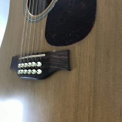 Seagull Coastline S12 Cedar 12-String | Reverb