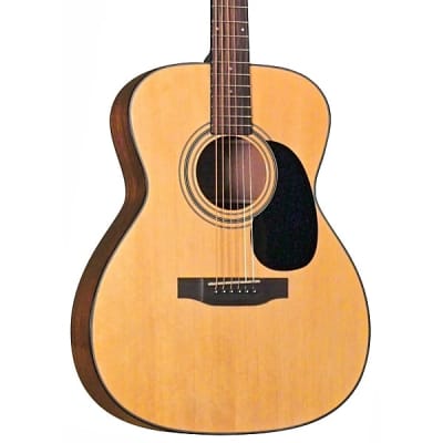 Bristol BM-16 2020’s - Acoustic Guitar with Bristol soft case for sale