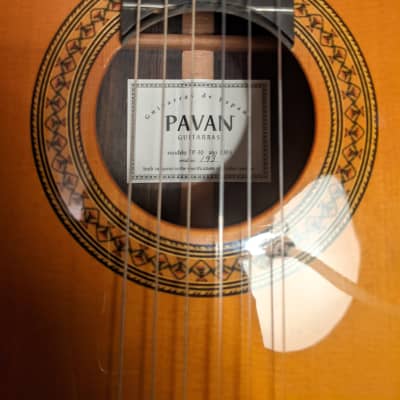 Pavan TP-30 2003 - Spruce Spanish Classical Guitar with Custom Case image 3