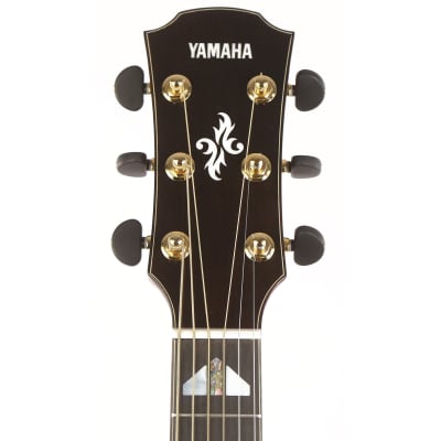 Yamaha APX1200II Acoustic-Electric Translucent Black image 4