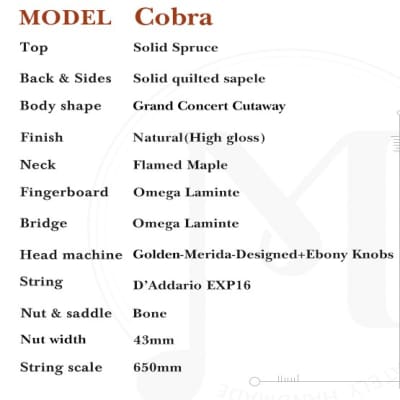 Merida Extrema Cobra w/Fishman EQ and Gigbag - Official Store image 8