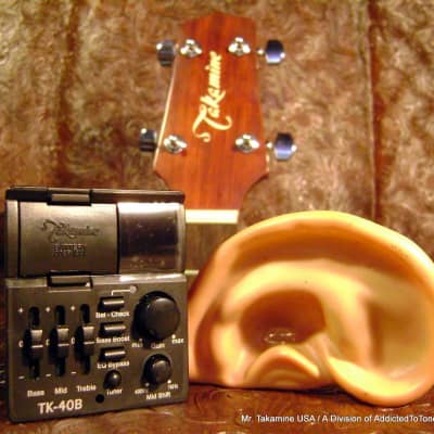 Takamine TK-40B BASS G Series Acoustic BASS Guitar preamp NEW image 11