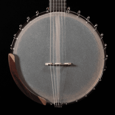 OME Juniper Guitar Banjo, Maple, Mahogany, 12" Rim, Armrest - VIDEO image 4