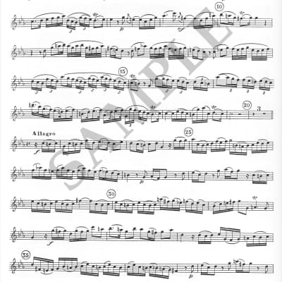 Vivaldi - Sonata for oboe and Piano + humor drawing print image 2