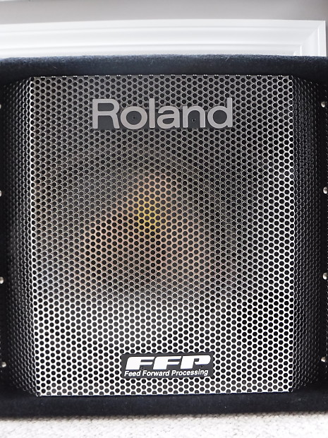 Roland DB-500 Bass combo COSM technology | TalkBass.com