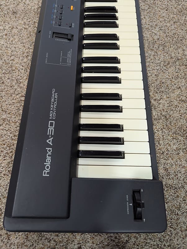 Roland ローランド A-30 MIDI キーボード 76鍵 ビンテージ Vintage ROLAND A-30 MIDI Keyboard Controller. ITALY RARE | eBay