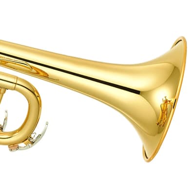 Strauss 6300 Student Trumpet Outfit, Our Best Deal image 1