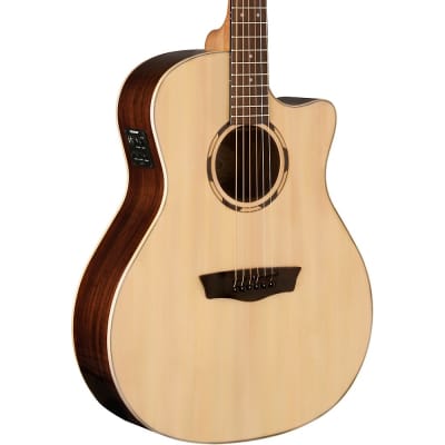 Washburn WLO2SCE Woodline 20 Series Acoustic-Electric Guitar for sale