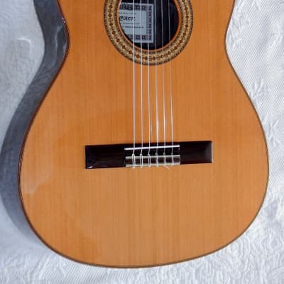 Esteve 3Z classical guitar/ Cedar top / Ziricote back and sides / Made in Spain image 1