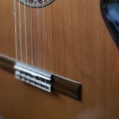 HORA REGUN N1014 classical guitar, solid wood, concert image 3