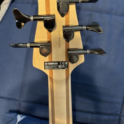 Yamaha TRB1005J 5-String Natural Quilt | Reverb