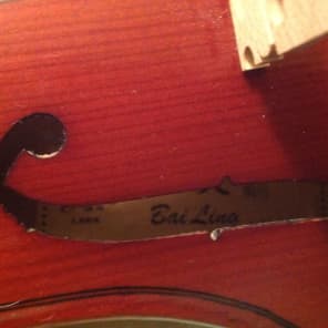 Bai Ling 4/4 Violin Kit Traditional | Reverb