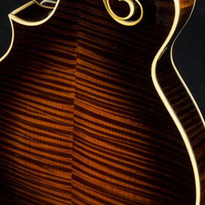 Hinde Heritage F German Spruce and Torrefied Flamed Maple Mandolin NEW image 19