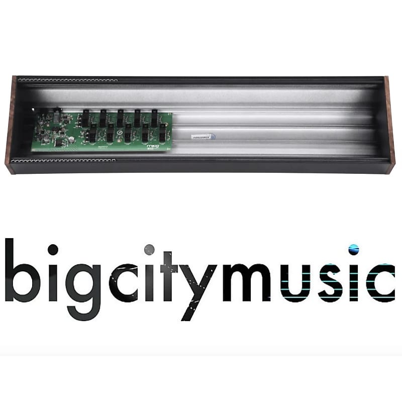 Moog 104HP Powered Eurorack Case | Sweetwater