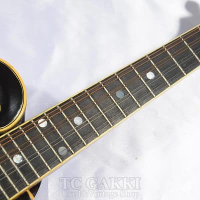 Gibson 1981 F 5L image 3