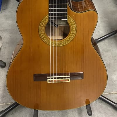 Yamaha CGX171CCA Classical Electric Guitar w. Case | Reverb