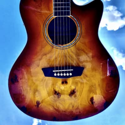 Washburn Deep Forest Burl ACE 2020s - Amber Fade image 12