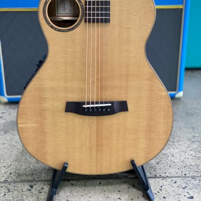 Walden Grand Auditorium Body Baritone Acoustic Solid Spruce Top image 2