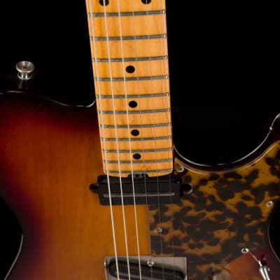 Asher T-Deluxe Tobacco Sunburst with Gig Gag image 3