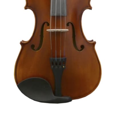 1/2 Size Student Violin Ensemble - Matte Finish image 1