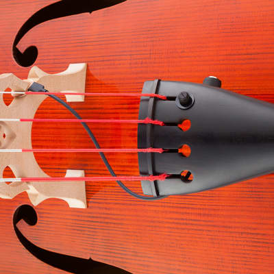 Kremona KNA DB-1 Acoustic Upright Double Bass Pickup w/ FREE SAME DAY SHIPPING image 3