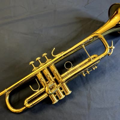 Beautiful - Holton Symphony T101B Trumpet | Reverb