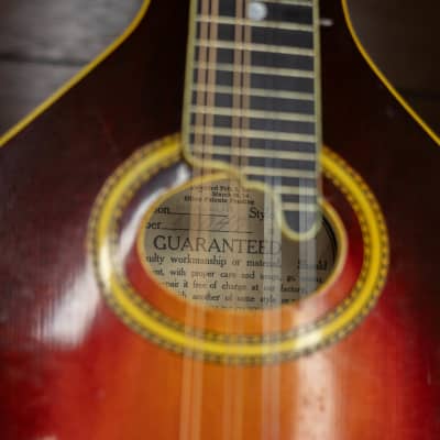 Gibson A4 1921 - Sunburst - VIDEO image 7