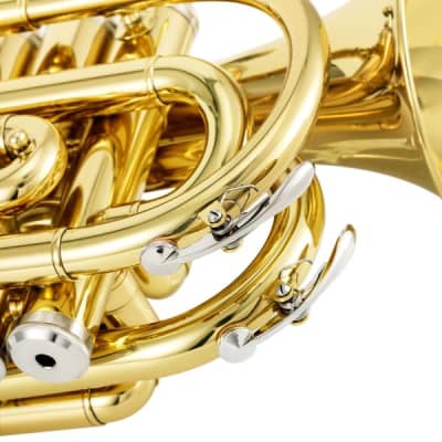 Standard Pocket Trumpet Bb Full Kit With Case & Accessories Bundle image 5