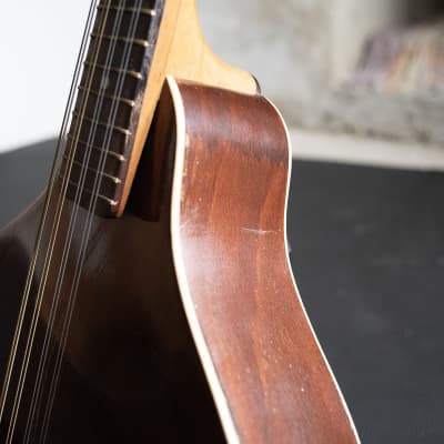 Vintage Mandolin “Troubadour” image 3