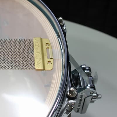 DW Collectors Maple SSC 6.5" x 14" Snare Drum w/ VIDEO! Pale Blue Oyster VLT image 6