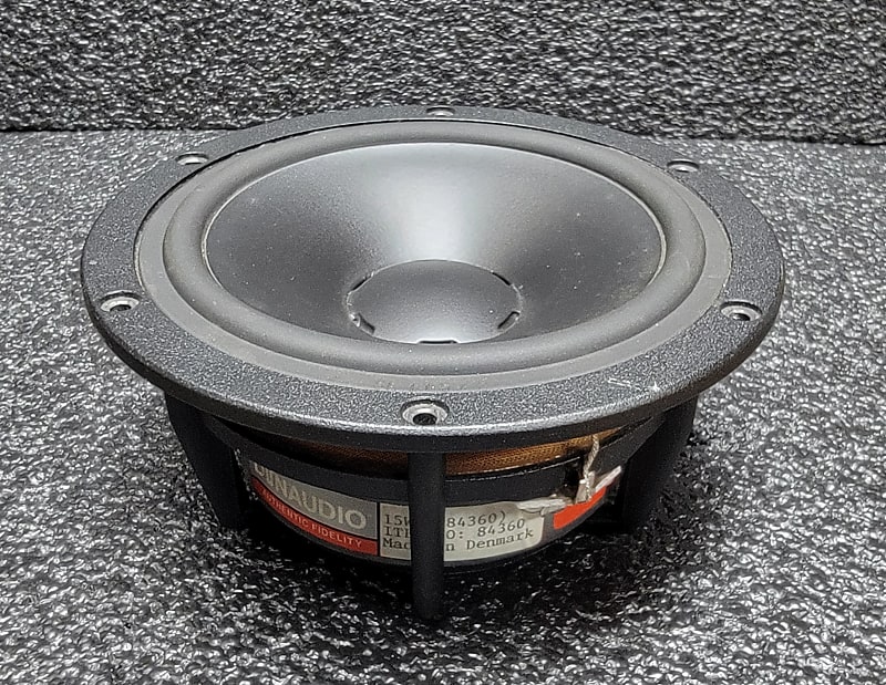 audience speaker