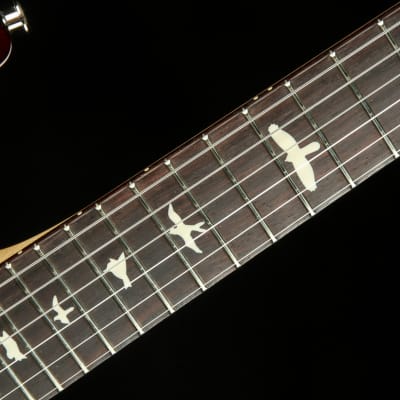PRS CE 24 - Burnt Amber 2023 image 9