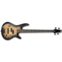 Ibanez GIO Series GSR200SM Electric Basses, Rosewood Fretboard, Natural Gray Burst