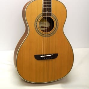 Washburn WP11SNS （管理サヒ） Washburn WP11SNS （管理サヒ） - メルカリ