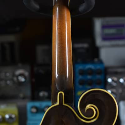 Lebeda F5 Standard+ Mandolin 2005 - Tobacco Sunburst image 14