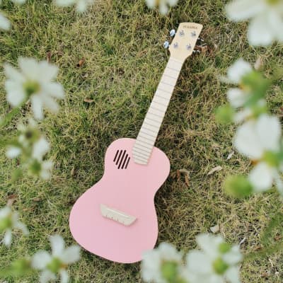 Pickapick UC23 Mahogany Concert Ukulele Beginner Kit (Cherry