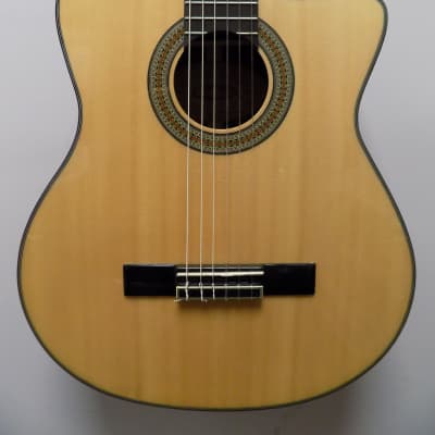 La Alpujarra - Argentina nylon string acoustic/electric | Reverb